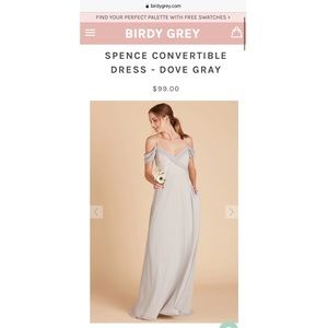 Birdy Grey Spence Convertible Dress in Dove Gray